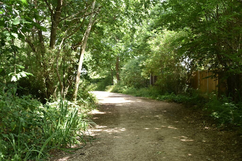 Joydens Wood