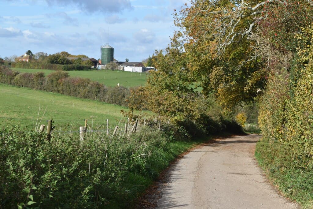 Grubs Wood