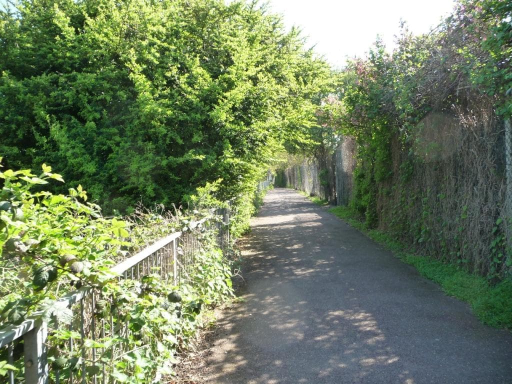 Craneford Way