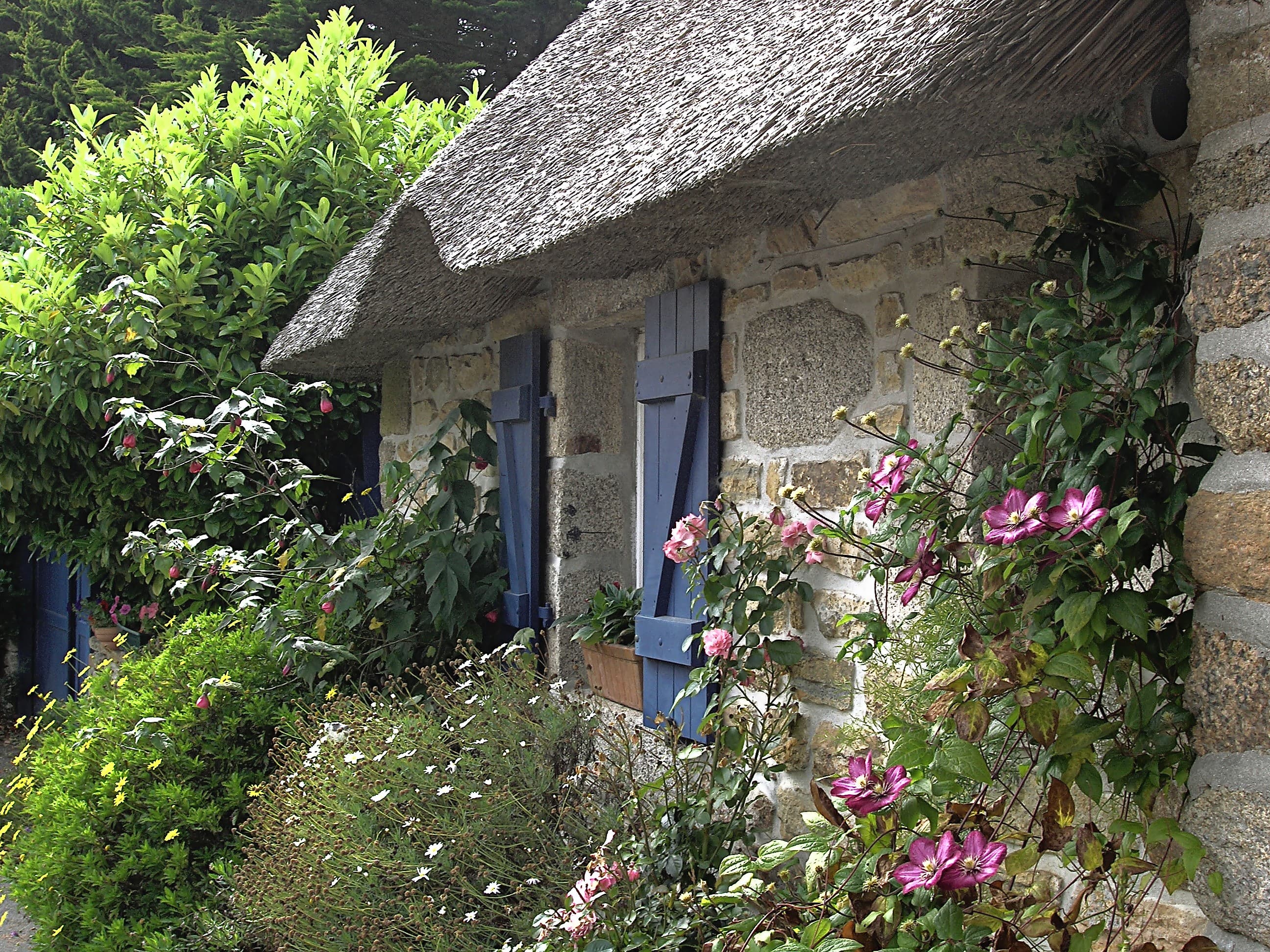 Cottage Garden