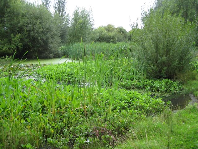 Fishmore Park