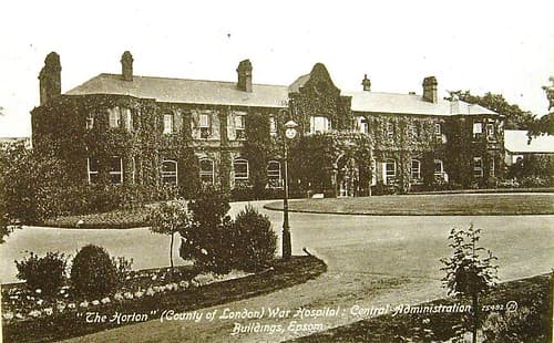 The Horton