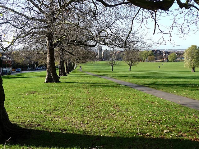 Streatham Common Community Garden