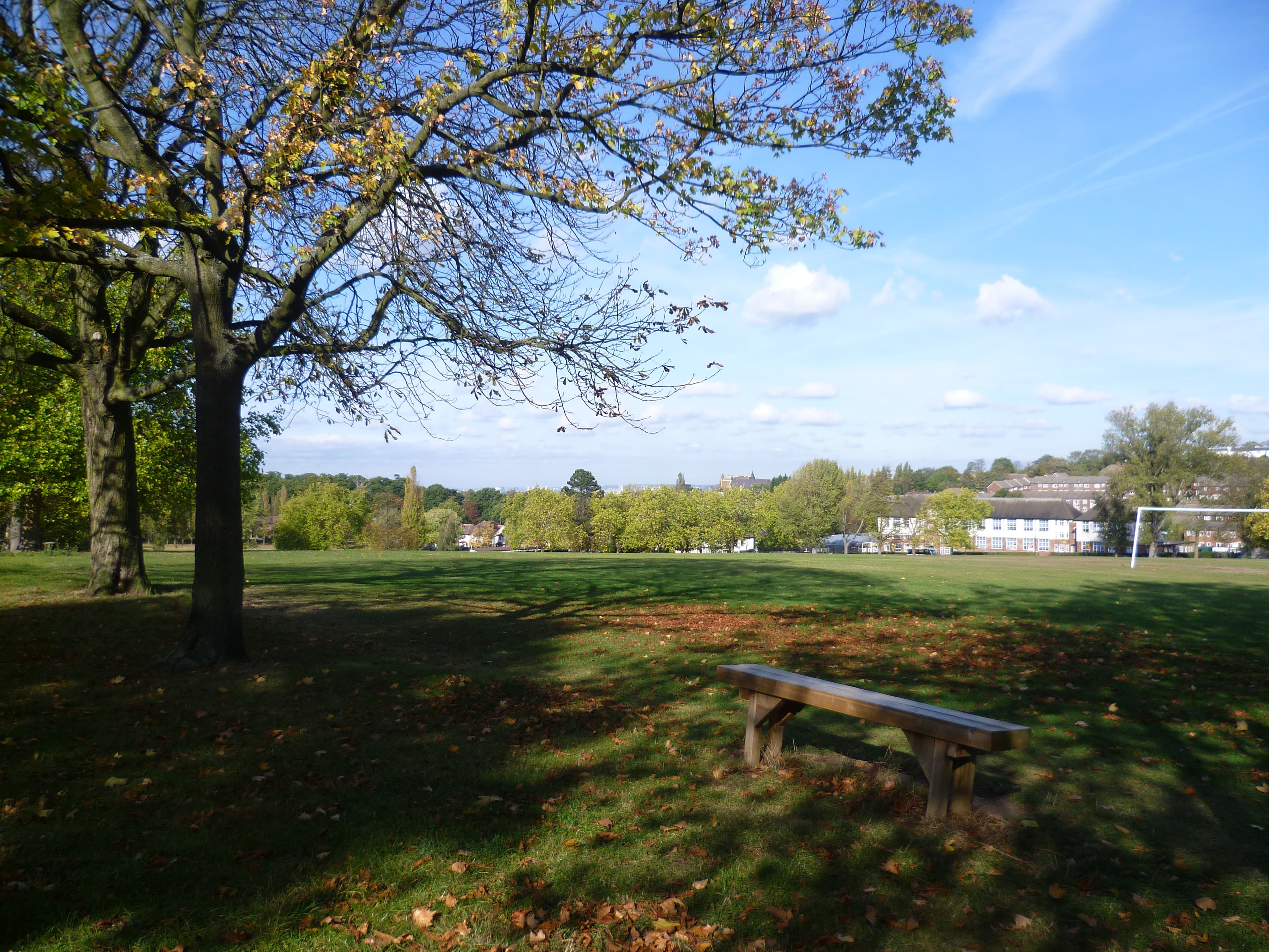 Upper Norwood Recreation Ground
